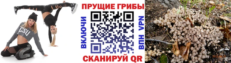 кракен зеркало  Лаишево  Псилоцибиновые грибы Psilocybine cubensis  купить наркотик 